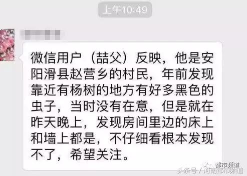 河南什么地方出现大量黑虫,河南村民发现红色线虫