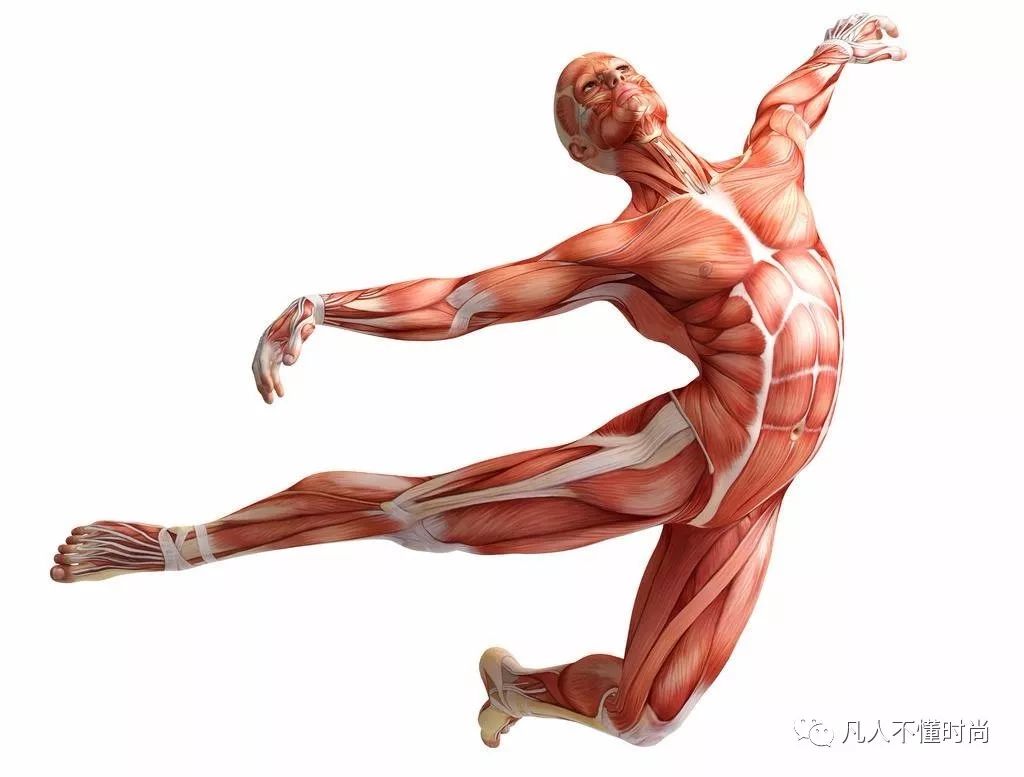 英国著名的设计师做的衣服,英国设计中国风衣服