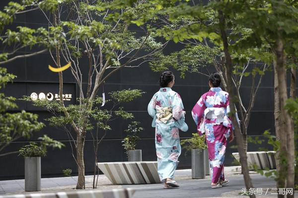 日本东京住宿推荐大全,东京一个女孩子住宿酒店推荐