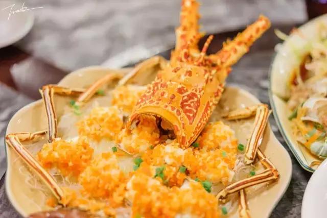 帕劳深度游出海,帕劳深潜体验