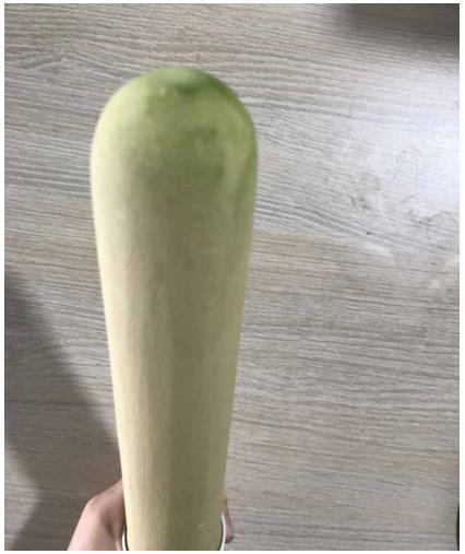 史帝夫净水器过滤水好吗,史夫帝净水器过滤网滤芯