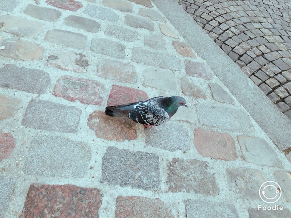 你花2万三亚飞东北，我花2万欧洲住10天！