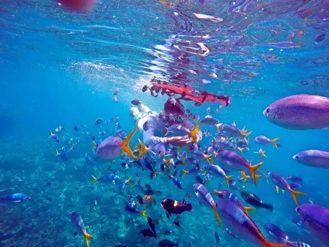 帕劳旅游攻略旅游视频,帕劳旅游攻略2018