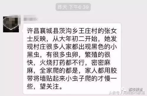 河南什么地方出现大量黑虫,河南村民发现红色线虫