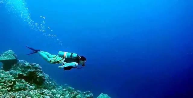 帕劳旅游攻略旅游视频,帕劳旅游攻略2018