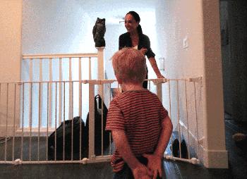 婚礼摄影师索赔一万,婚礼摄影师被投诉