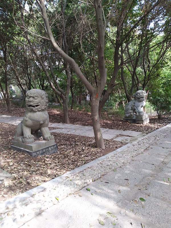 惠安科山公园视频,惠安科山公园的景点图片