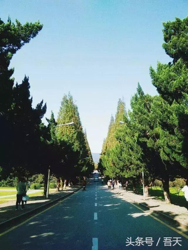 淮阴区卫岗,亳州卫岗镇