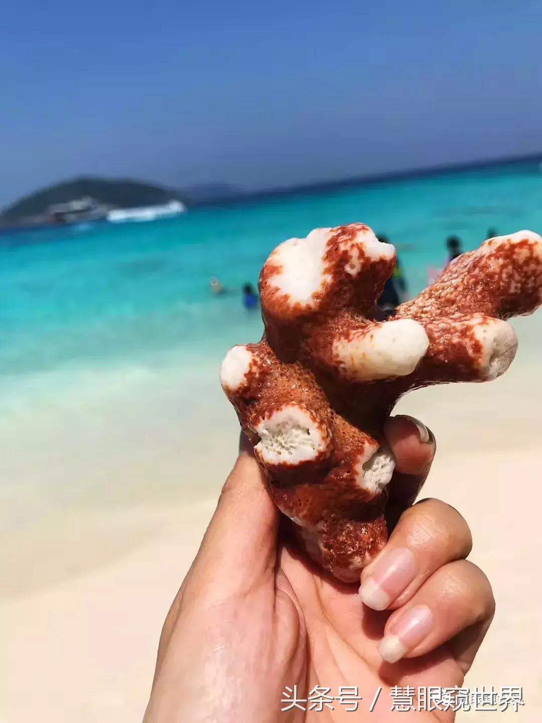 泰国斯米兰岛潜水,泰国斯米兰群岛潜水