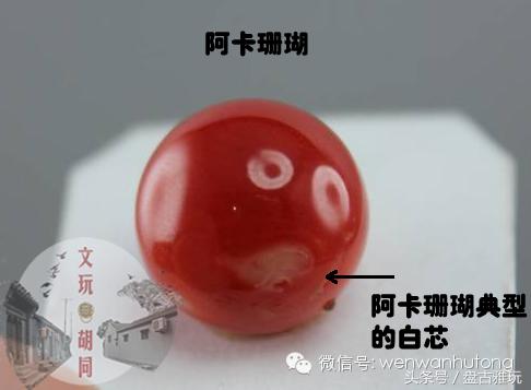 红珊瑚介绍方法,红珊瑚识别方法