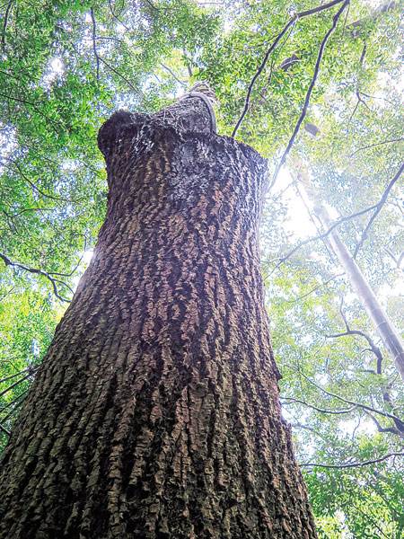 挑选玩具小技巧,挑选正确玩具