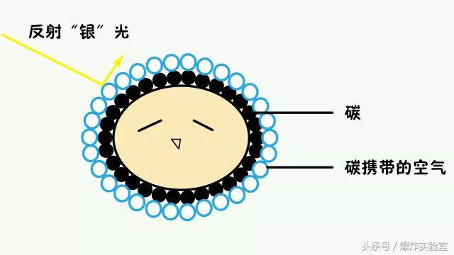 黑蛋为什么那么厉害,黑蛋到底有多聪明