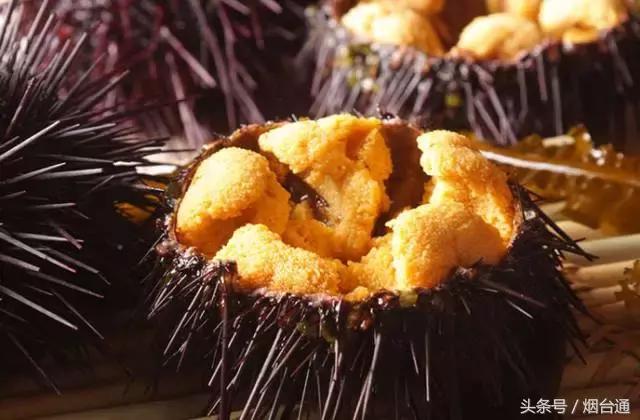 胶东四季的时令海鲜表,老渔民告诉你应季海鲜