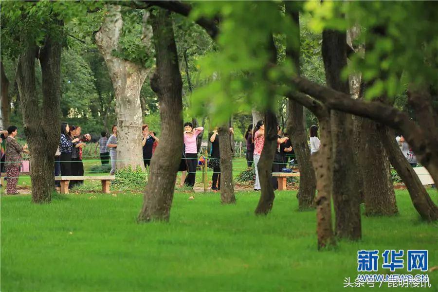 在昆明买房今后最有价值的片区 (昆明楼市西北片区最新动态)