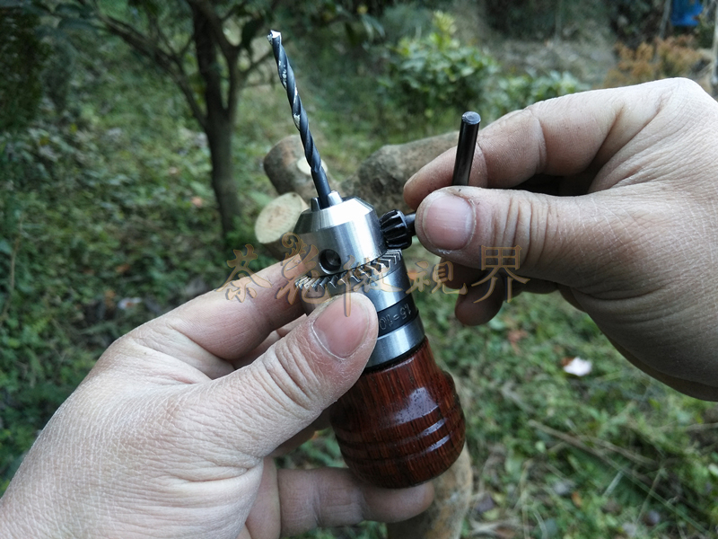 茶花嫁接技术图解大全集,茶花不去头腹接嫁接法