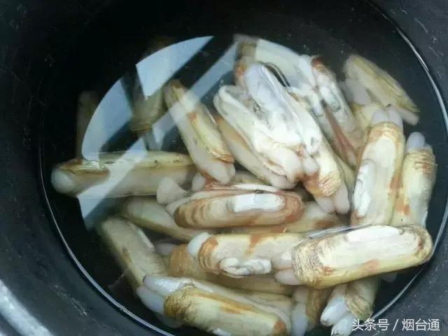 胶东四季的时令海鲜表,老渔民告诉你应季海鲜