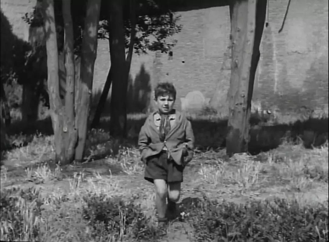 贺岁片,贺岁片新年