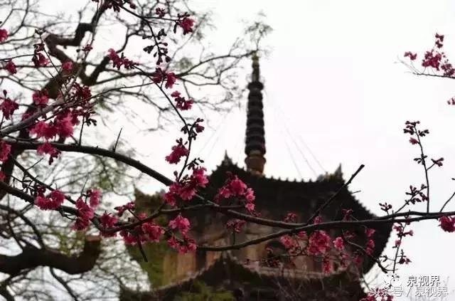 泉州未来五年的发展,2021年泉州迎来飞速发展