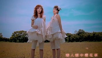 解散的二人女子组合,2017年解散的组合