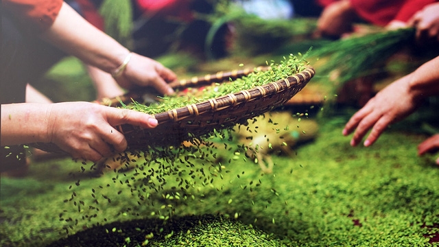 越南河内糯米冰淇淋,河内美食地址