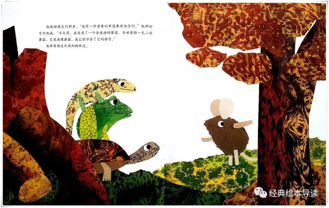 诚实地做最好的自己—《西奥多和会说话的蘑菇》导读