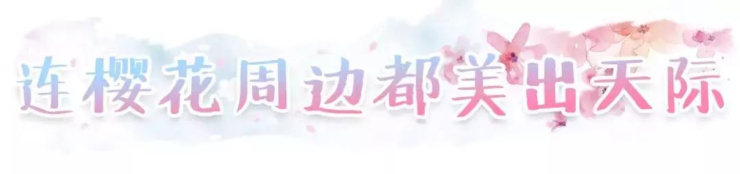 一年就等这一季！星爸爸又来抢钱，全新樱花杯苏炸少女心！