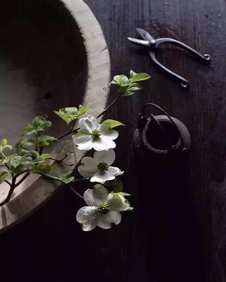 人生最大的奢侈是清闲,闲适是个优雅的句子