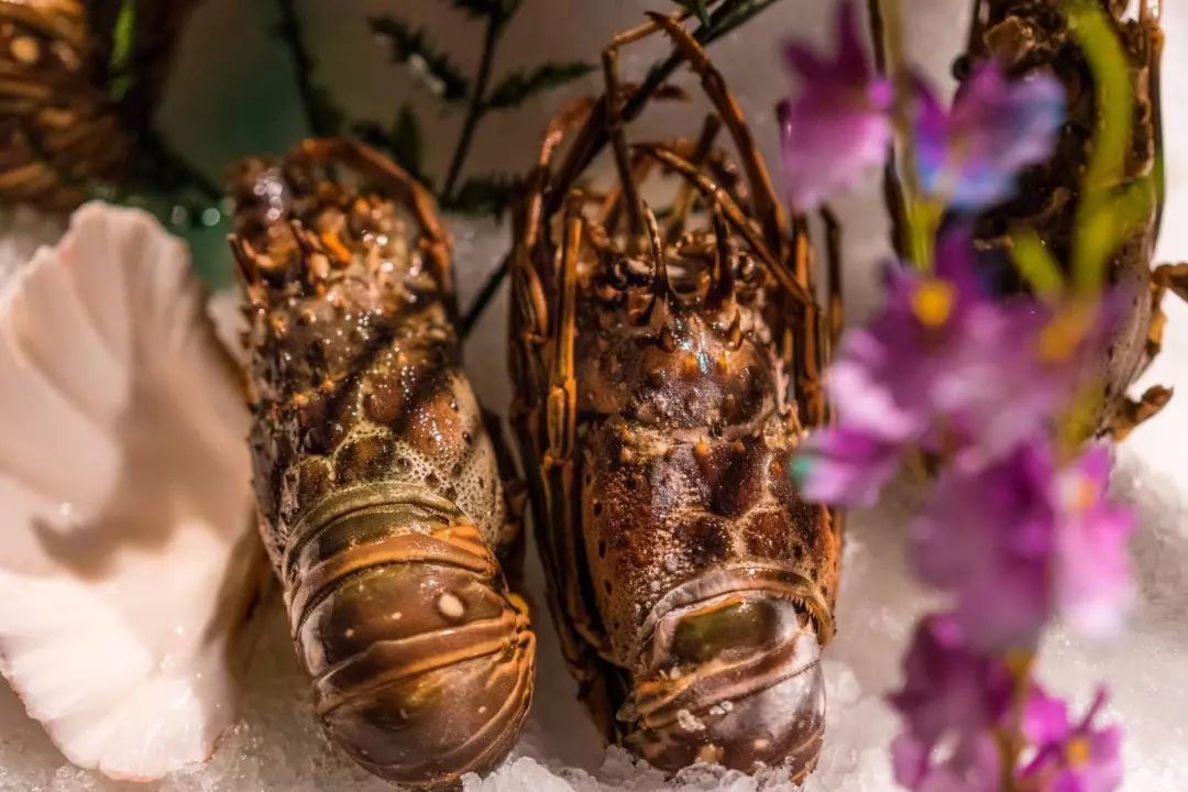 小悦鼎会海鲜自助,1大1小自助餐厦门