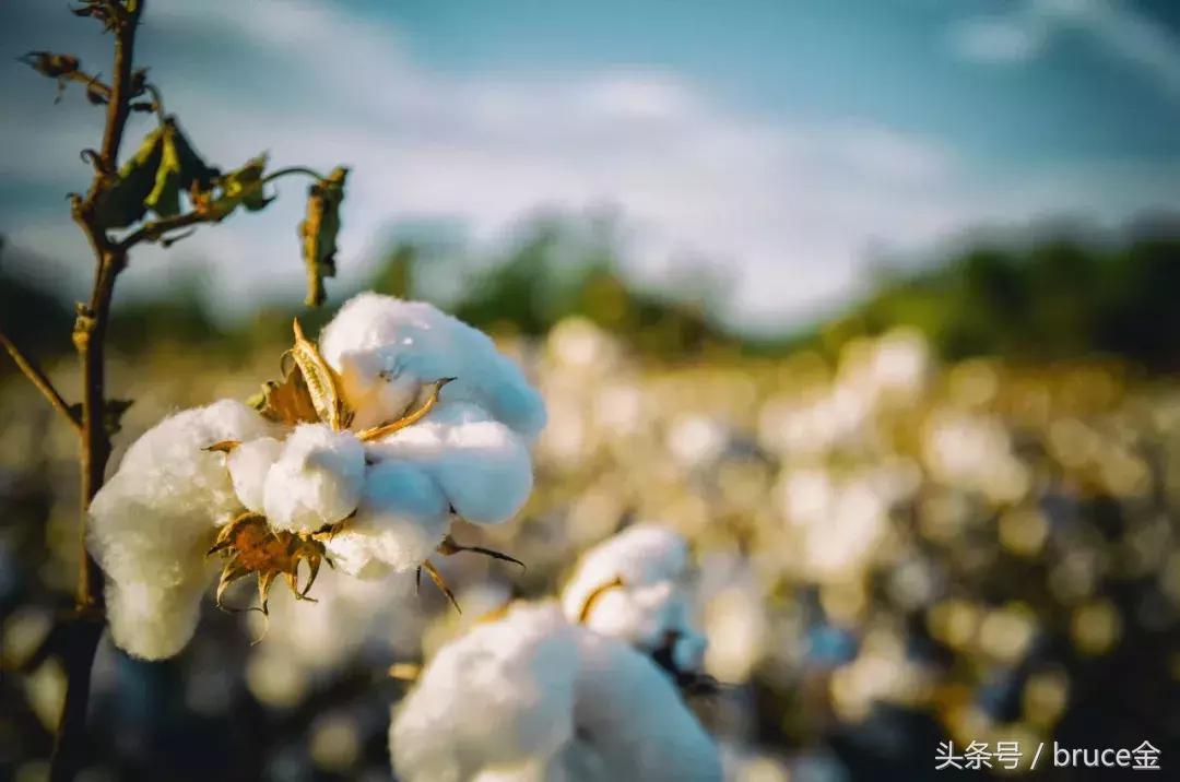 乡村生态旅游的发展策略,乡村旅游资源的开发经营