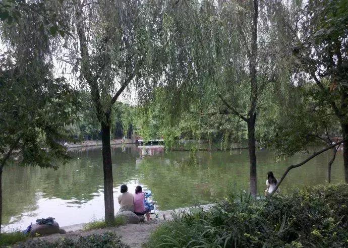 武侯新城第三豪宅区,成都武侯新城豪宅大平层