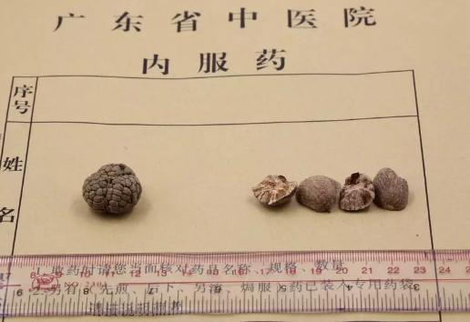 草豆蔻和肉豆蔻的区别是什么,肉豆蔻和草豆蔻区别