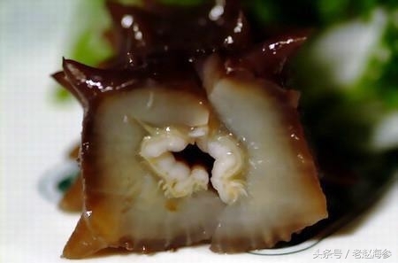 底播海参和养殖海参的区别,海参有多种哪种海参最好