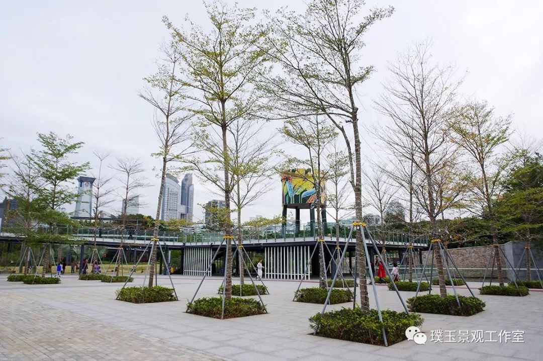 2019年香蜜湖公园,最新香蜜公园视频