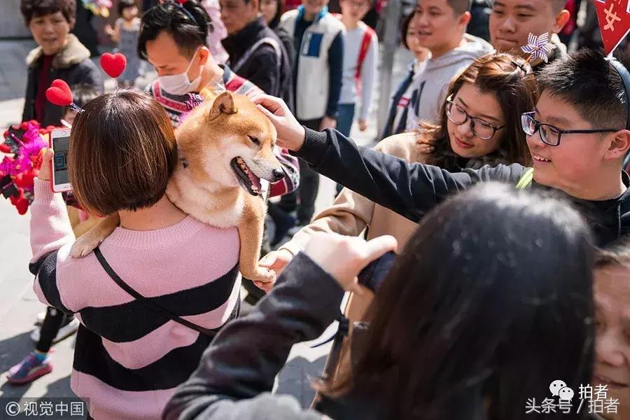 马布里退役仪式北京,马布里退役仪式视频
