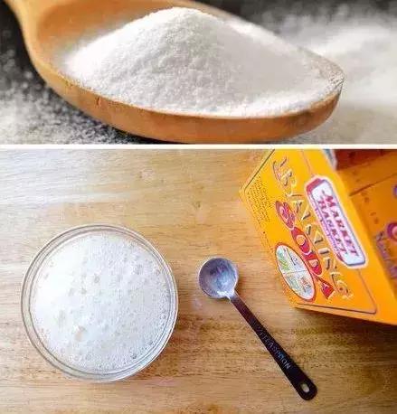 谁还买菜啊,空油桶剪两刀,蔬菜多到吃不完!