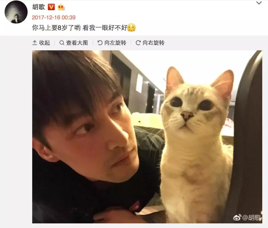 五个小技巧，拍出最美自拍照