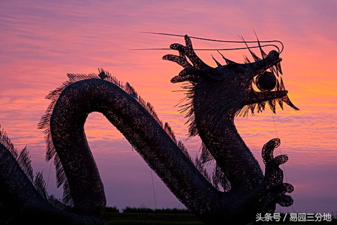 属龙的人性格属性,属龙的专属密码是什么