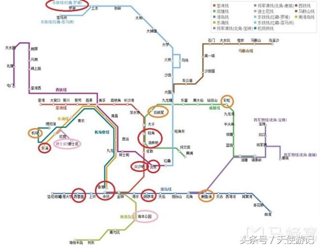 香港旅游攻略简介100字,香港旅游攻略网站推荐一下