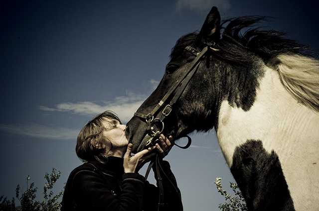骑马到底是什么感觉,第一次骑马是什么体验