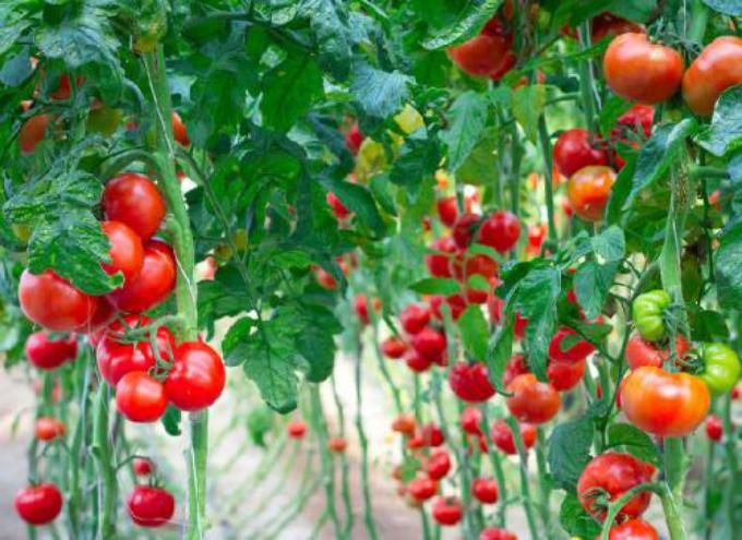 铂德*子烟电**的5个小细节，资深老粉才知道！