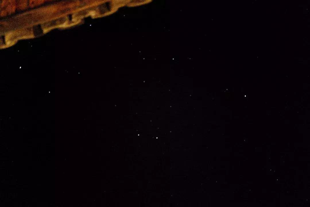 法国归来的插画师也难逃这片山林“诱惑”，夏天还想来看萤火虫