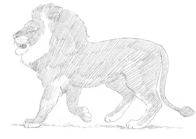 国画素描教程零基础入门,零基础学素描初学者入门教学