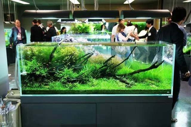 鱼缸打氧过滤器多久清洗一次,鱼缸过滤器的清洗方法