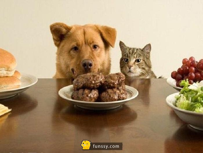 女生大专未来十年十大高薪职业,2030年十大高薪职业预测