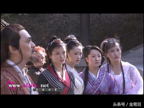 段正淳最狠的六个女人,段正淳的六个女人