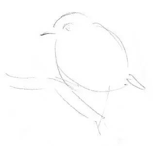 素描入门零基础教程动漫人物,素描入门零基础教程排线握笔