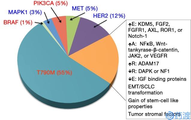 三代egfr靶向药物解决什么问题,三代egfr-tki