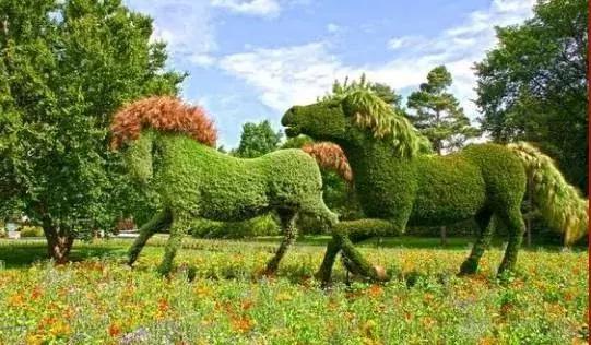 11月4,有群的都看看,太美了,这一辈子见一次值了!