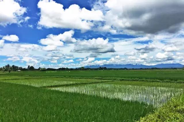 巴厘岛3天2晚跟团游团购,巴厘岛5天4夜含机票