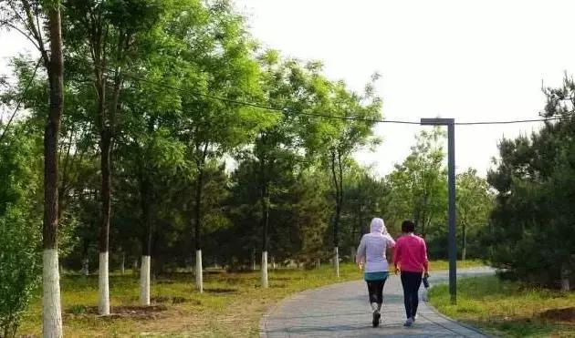 北京各区16处免费森林公园,北京最新40个公园